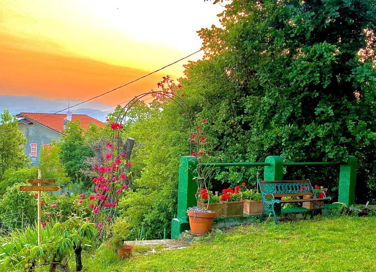 La Ginestra B&B Fosdinovo Zewnętrze zdjęcie
