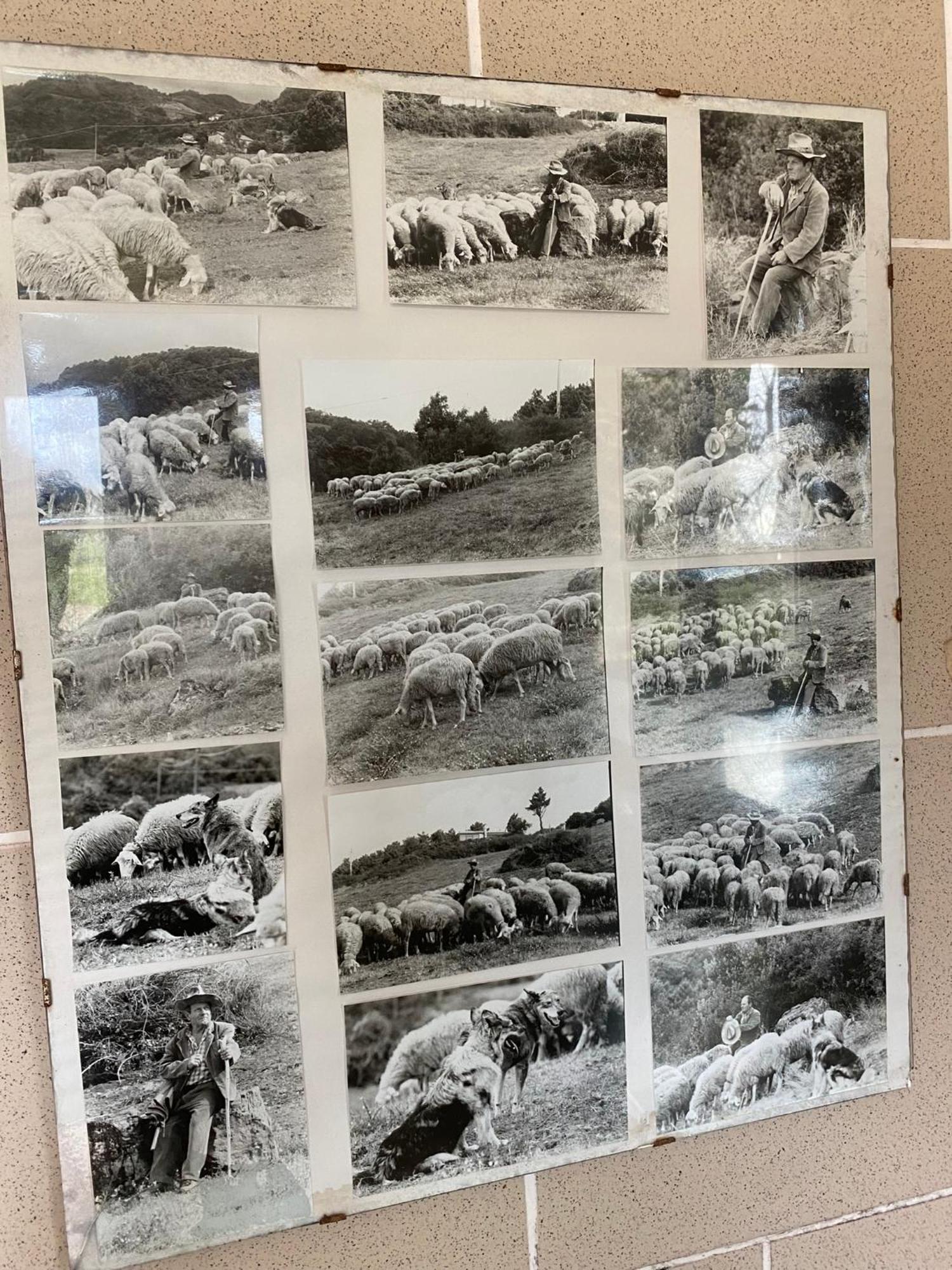 La Ginestra B&B Fosdinovo Zewnętrze zdjęcie