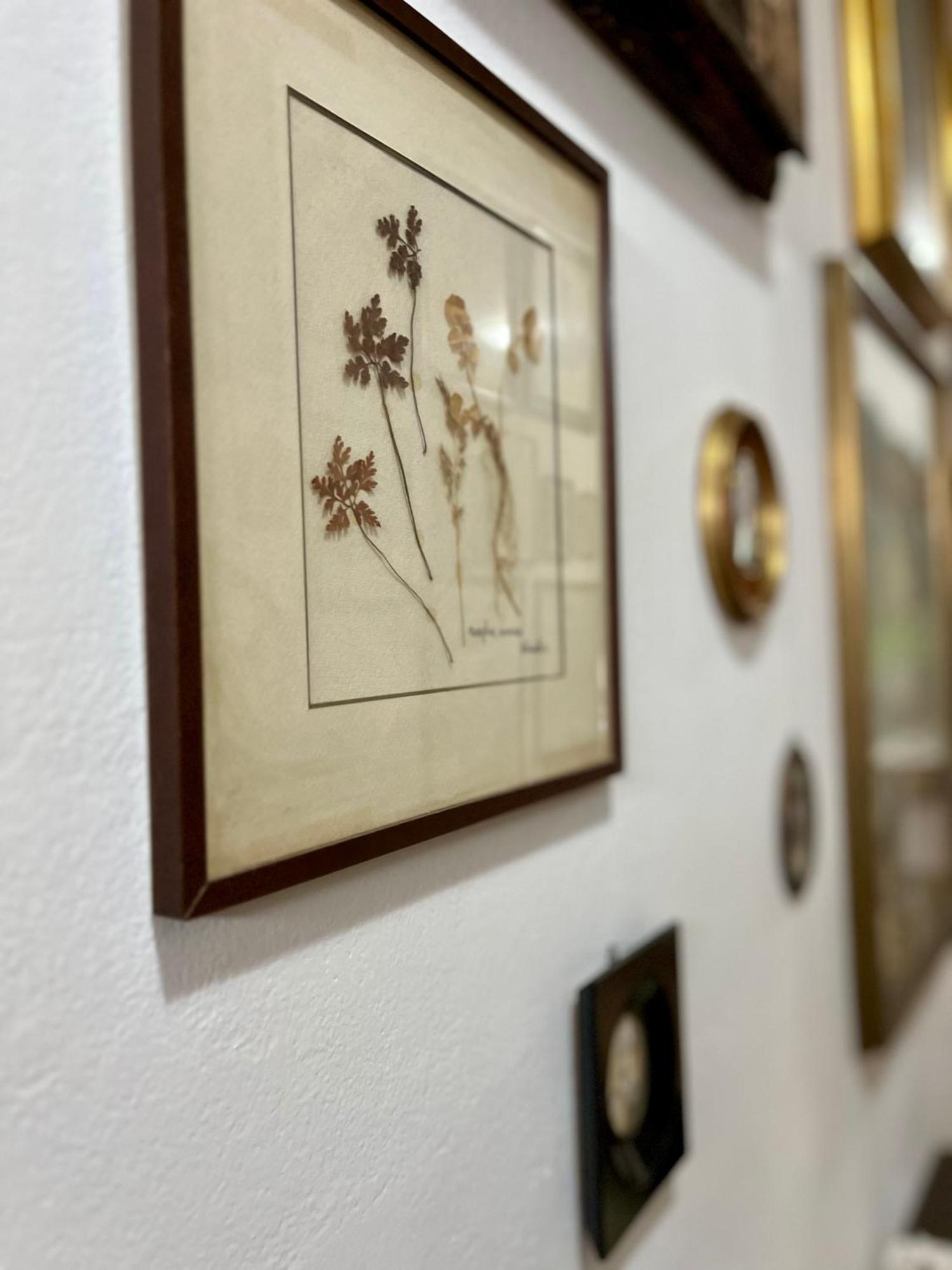La Ginestra B&B Fosdinovo Zewnętrze zdjęcie